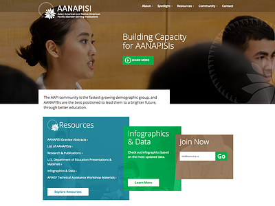 AANAPISIs Website asian american boxes brown education green homepage