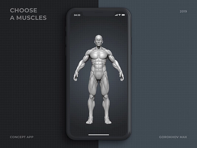 Choose A Muscles animation app design gym interface ios mobile muscle principle ui ux workout