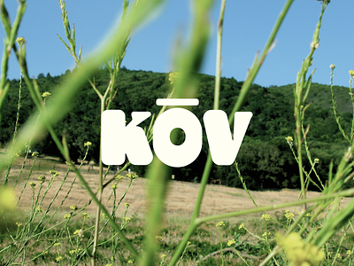 kōv skincare wordmark branding custom type graphic logo typography vector wordmark
