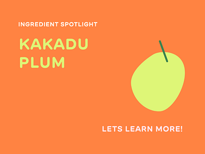 ingredient spotlight, kakadu plum! color design flat fruit graphic illustration illustrator marketing minimal skincare typography vector