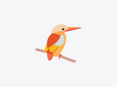 Ida bird cartoon color design graphic illustration illustrator rufous backed kingfisher vector