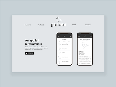 gander landing page app birds landing page minimal ui web