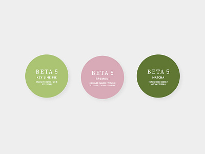 ice cream sandwiches beta5 branding circles clean color design flat graphic ice cream identity labels minimal packaging print typography