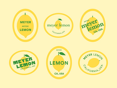 fruit stickers 2d flat food fruit illustration sticker type typography vector yellow