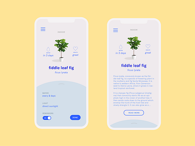 fiddle leaf fig app button color design flat graphic icon illustrator layout minimal settings type typography ui vector web