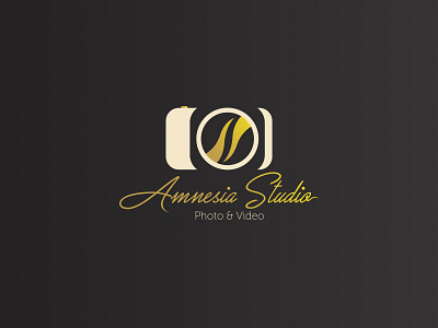 Amnesia Studio brand brand agency logo logo design photography typography vector