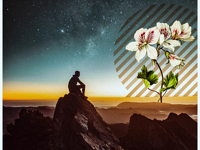 Flower Saunset design digital illustration illustration photomanipulation photoshop