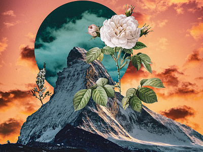 Zermatt Flower design digital illustration illustration photomanipulation photoshop