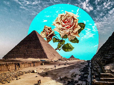 Breakfast at Egypt collage collage art design digital illustration illustration photomanipulation photoshop