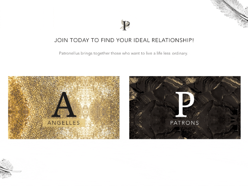 Patronellus Shot gate gold interface letter persona photo silver texture typography ui user