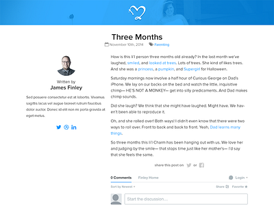 Article Page blog disqus post