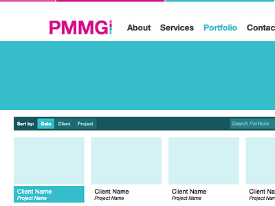 PMMG Portfolio filter flat flat design in browser design interface responsive search web