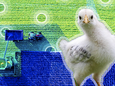 Smart Farming: The Future of Agriculture 🐔 blog graphic graphic design iot marketing collateral