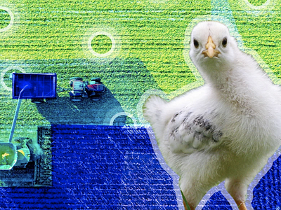 Smart Farming: The Future of Agriculture 🐔