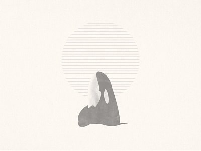 Spyhopper illustration killer whale minimal orca spyhopping