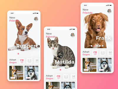 🐶🐱Pets adoption app concept