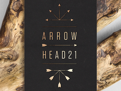 Project Arrowhead graphic design logo t shirts