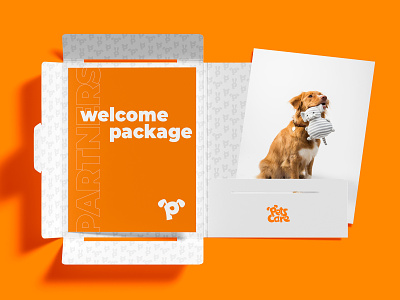 PatseCare App Branding design branding cat documentdesign dog folder logo logotype orange pets