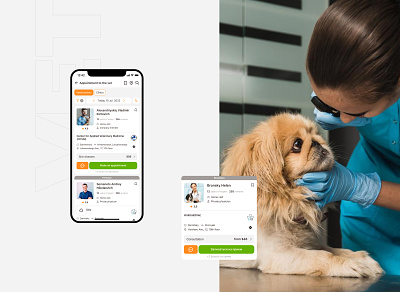 PetsCare app. Vets page animals app application cat dog fun health help mobile orange pets vet
