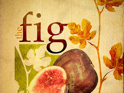 The Fig fruit leaves paper poster typography