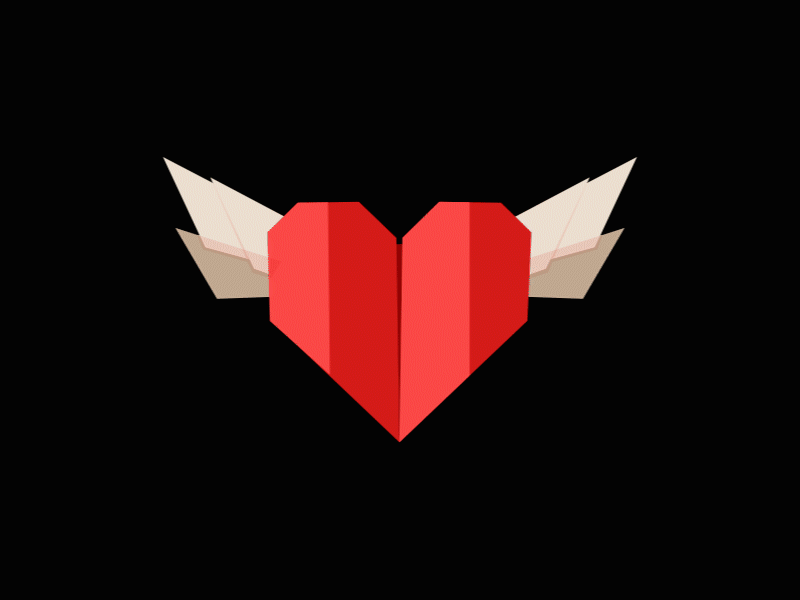 Heart fly after effect animation fly lottie motion graphic wings