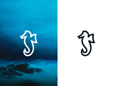 SeaHorse Logo animal bold branding elegant for sale unused buy icon logo logodesign minimal nature ocean sea seahorse strong underwater