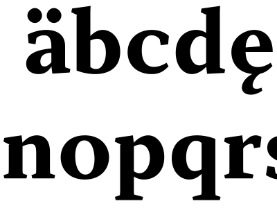 Spinoza bold bold dieresis font roman serif typeface