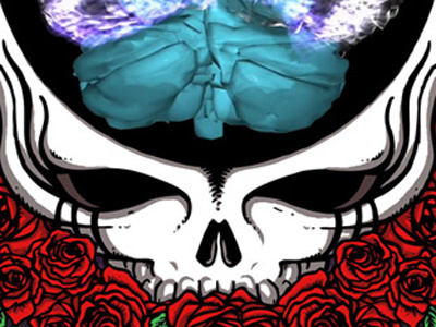 Mickey Hart Band Tour Admat admat brain grateful dead mickey hart band skull superorganism