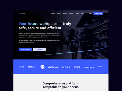Turing Website Design ai branding dark mode gradient security surveillance website design