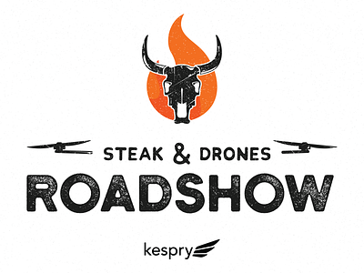 Steak And Drones Logo