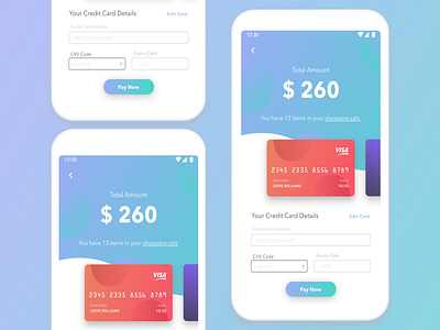 Credit Card Payment Page