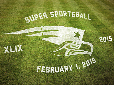 SPORTSBALL GOAAAAALLLL!!! falcons football nfl patriots sports ball sportsball super bowl superbowl