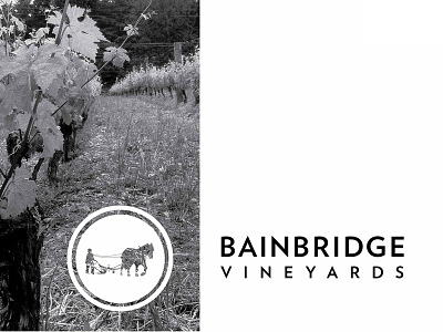 Bainbridge Vineyards Logo
