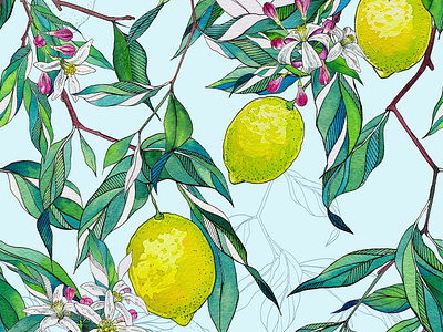 Lemons blue blue and yellow botanical drawing garden gardens hand drawn lemons painting pattern romantic watercolor