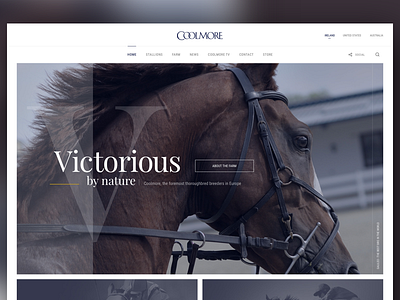 Coolmore Website fullscreen responsive ui ux website