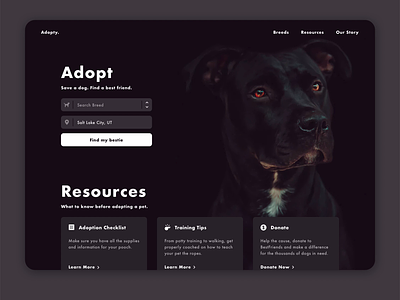 Pet Adoption Landing adopt adoption doggy dogs dropdown landing landing page pets search welcome page