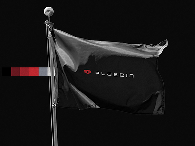 Plasein ✱ 03 branding design identity logo visual identity