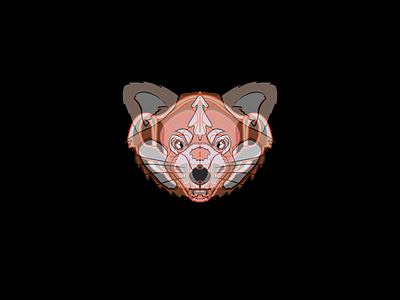Boo concept art brain design digital halloween illustration panda red red panda scull