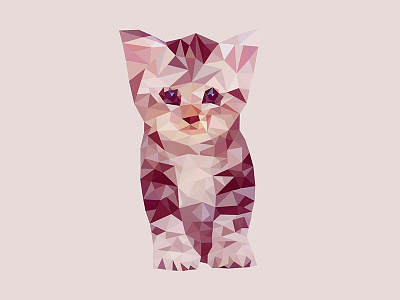 Low Poly Cat cat experiment illustration low low poly polygon vector