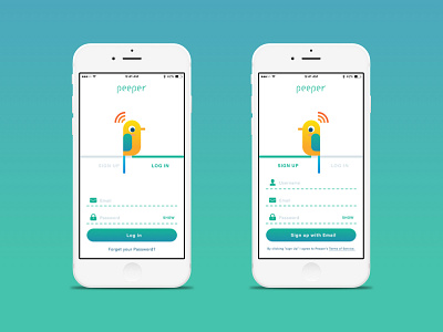 Daily UI challenge #001 — SignUp bird dailyui day 001 smart bird feeder