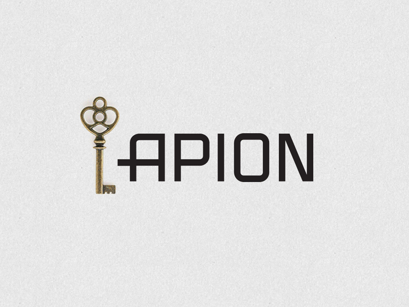 APION branding ci development land logo mark marker pin places real estate