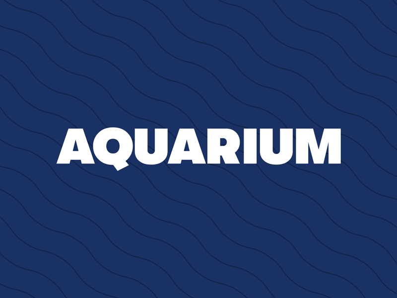 Aquarium after effect animation aqua aquamarine aquarium blue logo animation logotype navy blue sea text animation typo typo animation water water effect wave