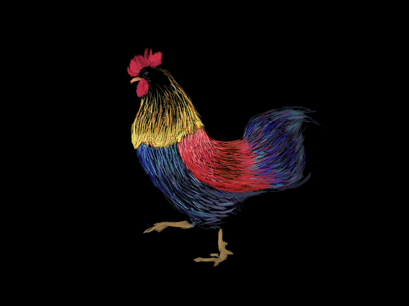 GALLETTO illustration cyclicwalking animal motion safari motiongraphic framebyframe animation2d brush animation