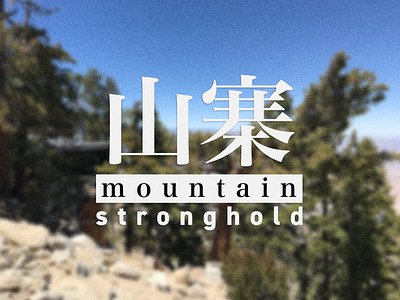 Mountain Stronghold bootleg brand china clothes counterfeit consumer goods logo online photography shanzhai street wear