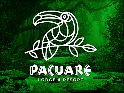 Pacuare brand fat line logo resort toucan tropical vonster