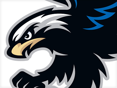 Mascot branding character eagle hawk logo mascot vonster