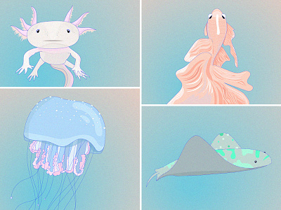 Sea Creatures art cartoon coral digital drawing guppy illustration jellyfish ocean sea stingray xlotl