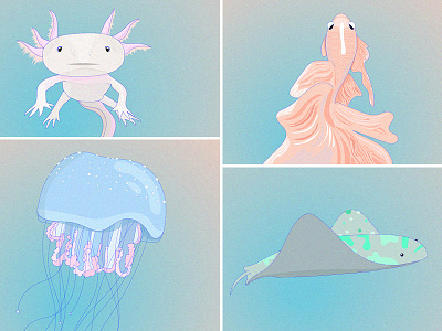 Sea Creatures