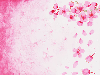 Water Colour Sakura flower free painting sakura watercolor