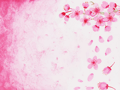 Water Colour Sakura